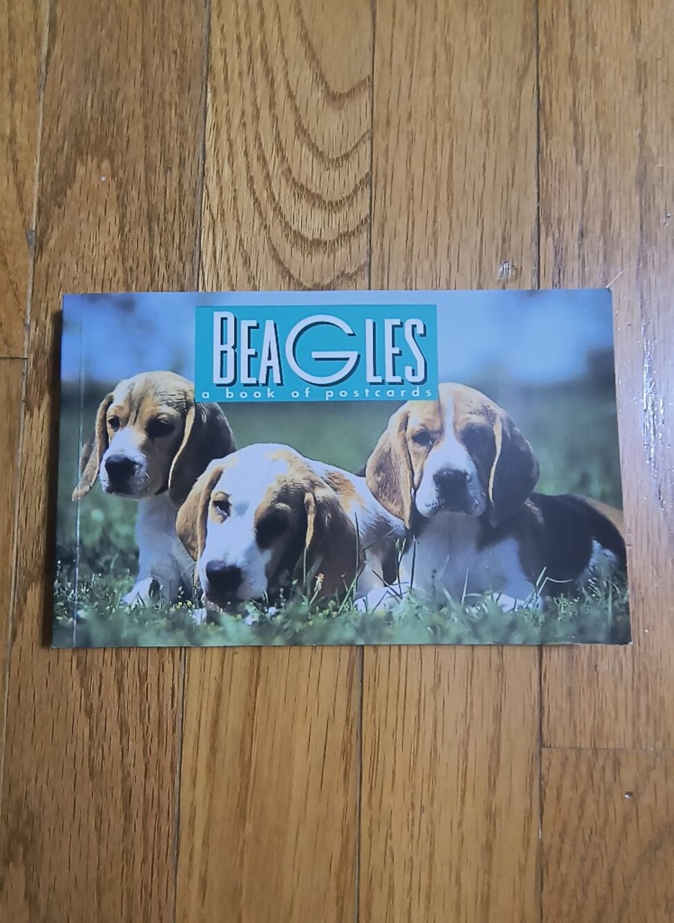 Vintage 1996 Beagles book of postcards, 30 postcards, complete